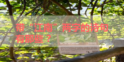 带“江南”两字的诗句有那些 ？ 