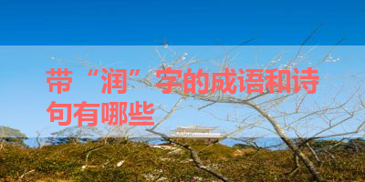 带“润”字的成语和诗句有哪些 