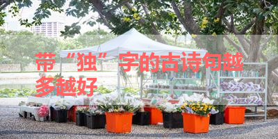 带“独”字的古诗句越多越好 
