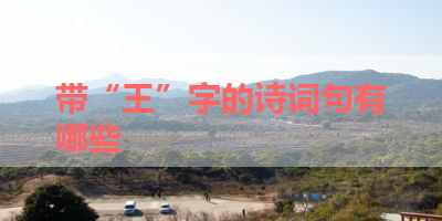 带“王”字的诗词句有哪些 