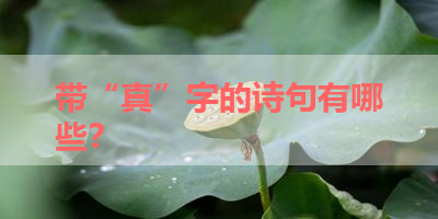 带“真”字的诗句有哪些？ 