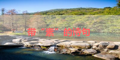 带“素”的诗句 