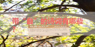 带“自”的诗词有哪些？ 