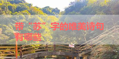 带“苏”字的唯美诗句有哪些 