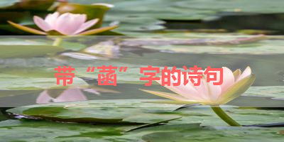 带“菡”字的诗句 
