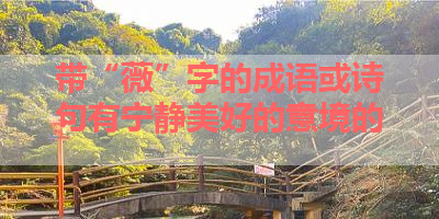 带“薇”字的成语或诗句有宁静美好的意境的 