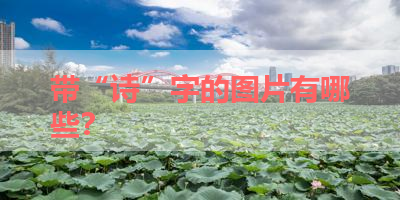 带“诗”字的图片有哪些？ 