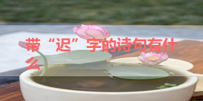 带“迟”字的诗句有什么 