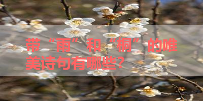带“雨”和“桐”的唯美诗句有哪些？ 
