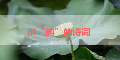 带“韵”的诗词 