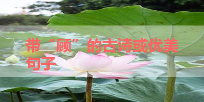 带“顾”的古诗或优美句子 