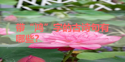 带“鸿”字的古诗句有哪些？ 
