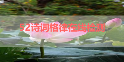 52诗词格律在线检测 