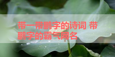 带一带鹏字的诗词 带鹏字的霸气网名