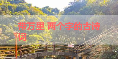 带万里 两个字的古诗词 