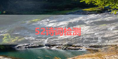 52诗词检测 