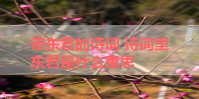 带东君的诗词 诗词里东君是什么意思