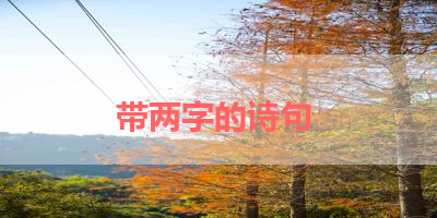 带两字的诗句 