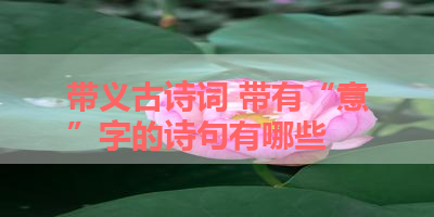 带义古诗词 带有“意”字的诗句有哪些 