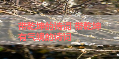 带乾坤的诗词 带乾坤有气魄的诗词