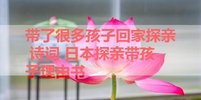 带了很多孩子回家探亲 诗词 日本探亲带孩子理由书