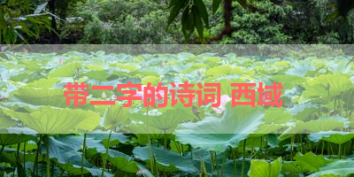带二字的诗词 西域 