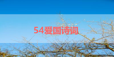 54爱国诗词 