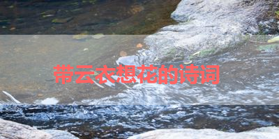 带云衣想花的诗词 