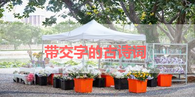 带交字的古诗词 