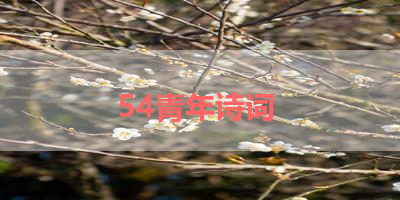 54青年诗词 