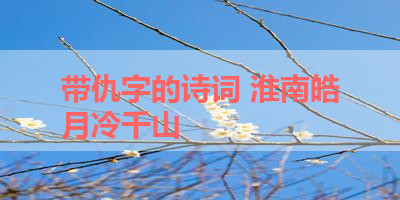 带仇字的诗词 淮南皓月冷千山