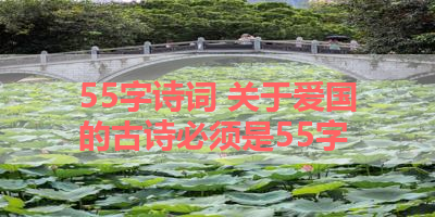 55字诗词 关于爱国的古诗必须是55字 
