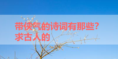 带侠气的诗词有那些？求古人的 