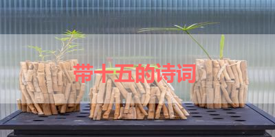 带十五的诗词 