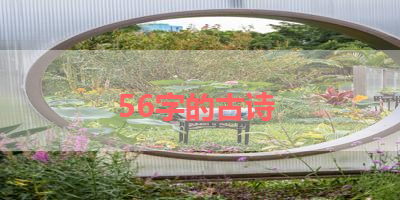 56字的古诗 