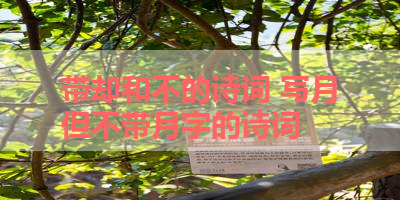带却和不的诗词 写月但不带月字的诗词 