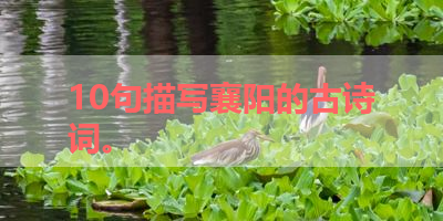 10句描写襄阳的古诗词。 