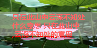 只在此山中云深不知处什么意思 只在此山中,云深不知处的意思