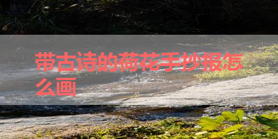 带古诗的荷花手抄报怎么画 