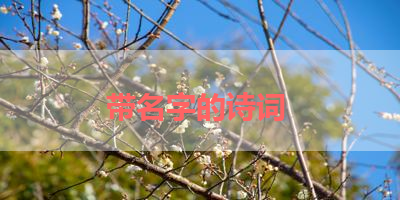 带名字的诗词 