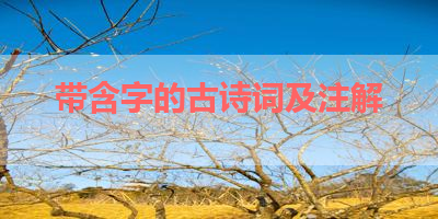 带含字的古诗词及注解 