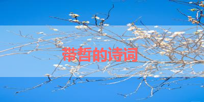 带哲的诗词 