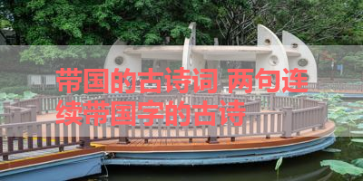带国的古诗词 两句连续带国字的古诗