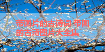 带图片的古诗词 带图的古诗图片大全集