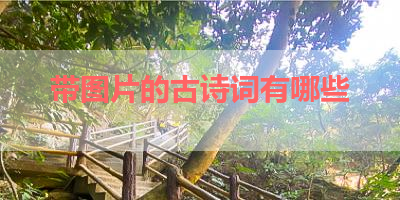 带图片的古诗词有哪些 