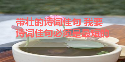 带壮的诗词佳句 我要诗词佳句必须是最短的 