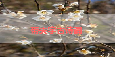 带夫字古诗词 