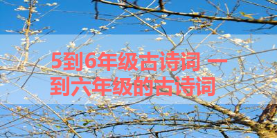5到6年级古诗词 一到六年级的古诗词