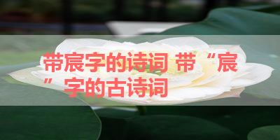带宸字的诗词 带“宸”字的古诗词