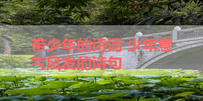 带少年的诗词 少年意气风发的诗句